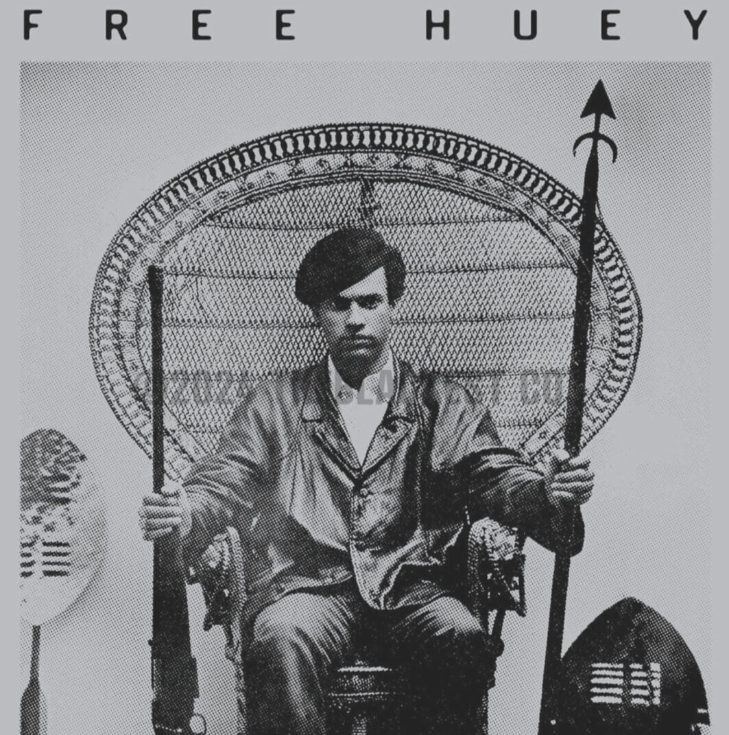 Free Huey P. Newton Chair Premium Oversized Hoodie