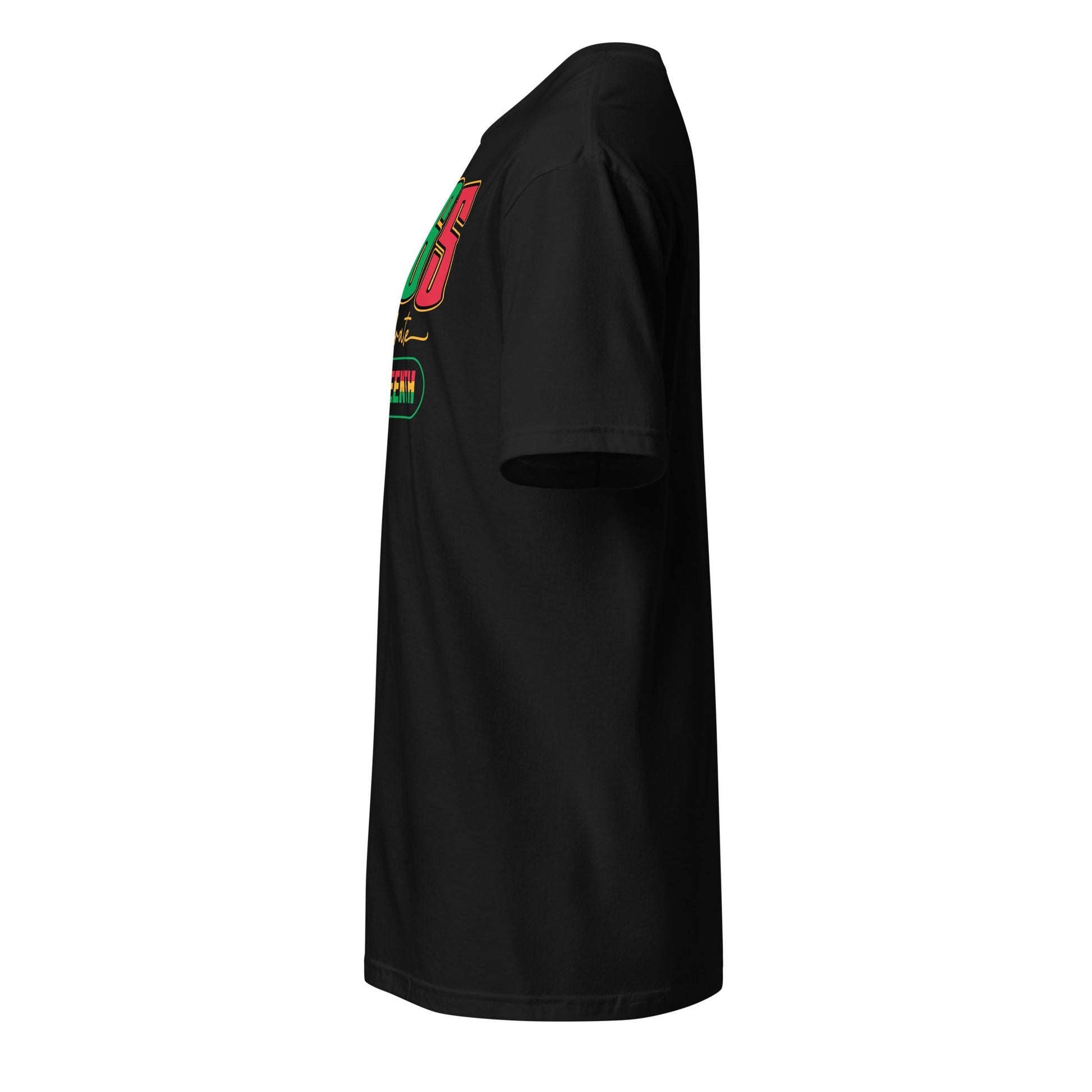 a black t - shirt with a green and red logo