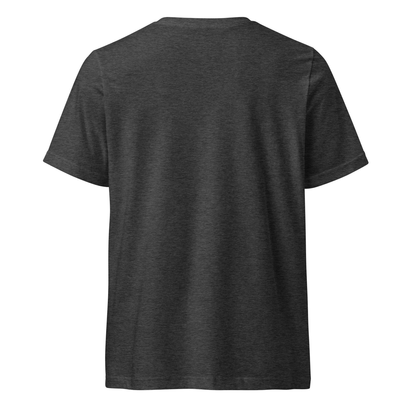 Back view of Never Argue With Somebody John Brown Unisex V-Neck T-Shirt in dark heather gray showing plain design and soft, lightweight fabric.