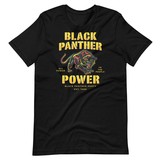 a black panther t - shirt with the words black panther on it